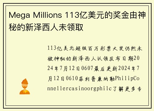 Mega Millions 113亿美元的奖金由神秘的新泽西人未领取